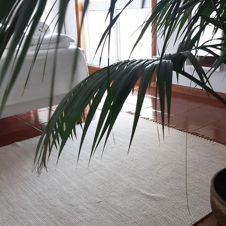 אספוסנדה Sun & Sand Guesthouse מראה חיצוני תמונה